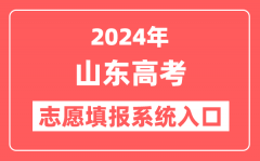 2024年山东高考志愿填报系统官网入口（https://www.sdzk.cn/）