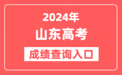 cxsdzkcn成绩查询入口2024山东高考:https://cx.sdzk.cn