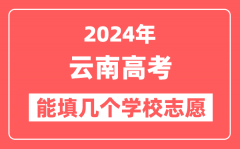 2024年云南高考志愿填报能填几个学校志愿？