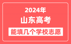 2024年山东高考志愿填报能填几个学校志愿？