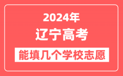 2024年辽宁高考志愿填报能填几个学校志愿？