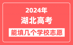 2024年湖北高考志愿填报能填几个学校志愿？