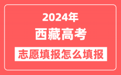 2024年西藏高考志愿填报怎么填报(附填报时间+入口)