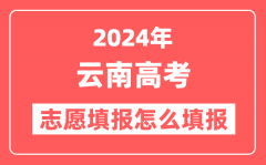 2024年云南高考志愿填报怎么填报(附填报时间+入口)