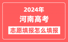 2024年河南高考志愿填报怎么填报(附填报时间+入口)