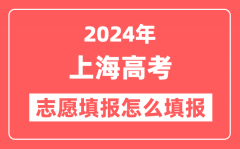 2024年上海高考志愿填报怎么填报(附填报时间+入口)