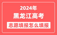 2024年黑龙江高考志愿填报怎么填报(附填报时间+入口)