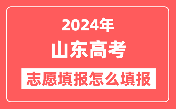 2024年山东高考志愿填报怎么填报(附填报时间+入口)