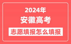 2024年安徽高考志愿填报怎么填报(附填报时间+入口)