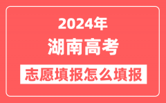 2024年湖南高考志愿填报怎么填报(附填报时间+入口)