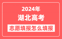 2024年湖北高考志愿填报怎么填报(附填报时间+入口)