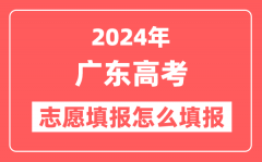 2024年广东高考志愿填报怎么填报(附填报时间+入口)