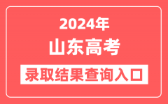 2024年山东高考录取结果查询入口网址（https://www.sdzk.cn）