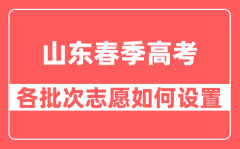 山东春季高考各批次志愿如何设置_一共有多少个志愿？