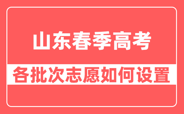 山东春季高考各批次志愿如何设置,一共有多少个志愿？