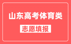 山东高考体育类可以填多少个志愿_填报路径是什么？