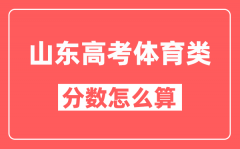 山东高考艺术类分数怎么算_文化课占百分之多少