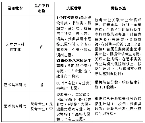 山东高考艺术类可以填多少个志愿,填报路径是什么？