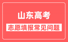 山东高考平行志愿退档有