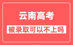 云南高考被录取以后可以不去大学报