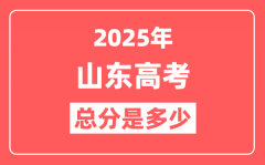 2025年山东高考总分是多少_山东新高考各科分值设置