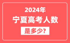 2024年宁夏高考人数是多少_2025会增加