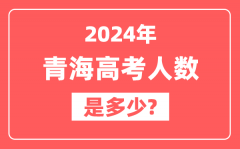 2024年青海高考人数是多少_2025会增加