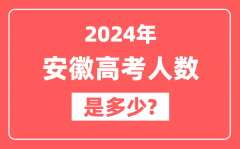 2024年安徽高考人数是多少_2025会增加吗？