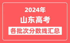 2024年山东高考各批次分数线汇总（含一段线,二段线,特殊类型控制线）