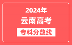 2024年云南高考专科分数线（文科+理科）