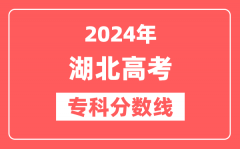 2024年湖北高考专科分数线（物理+历史）