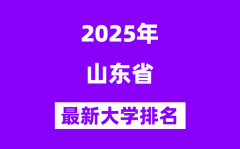 2025山东最好的大学排名一览表(山东最新高校排行榜)